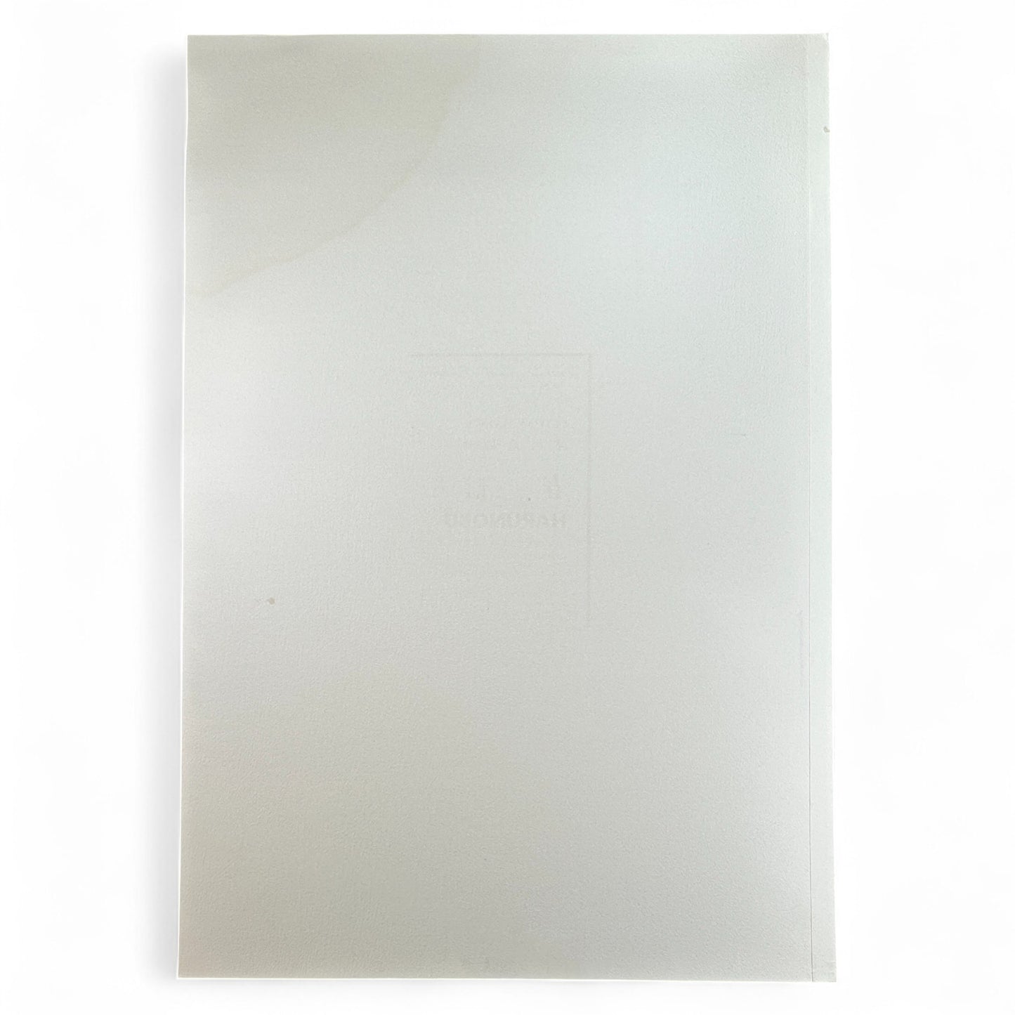 Harunobu ukiyo-e bijin-ga – 鈴木春信 – Edo Japanese woodblock print of elegant women and spring flowers reproduction