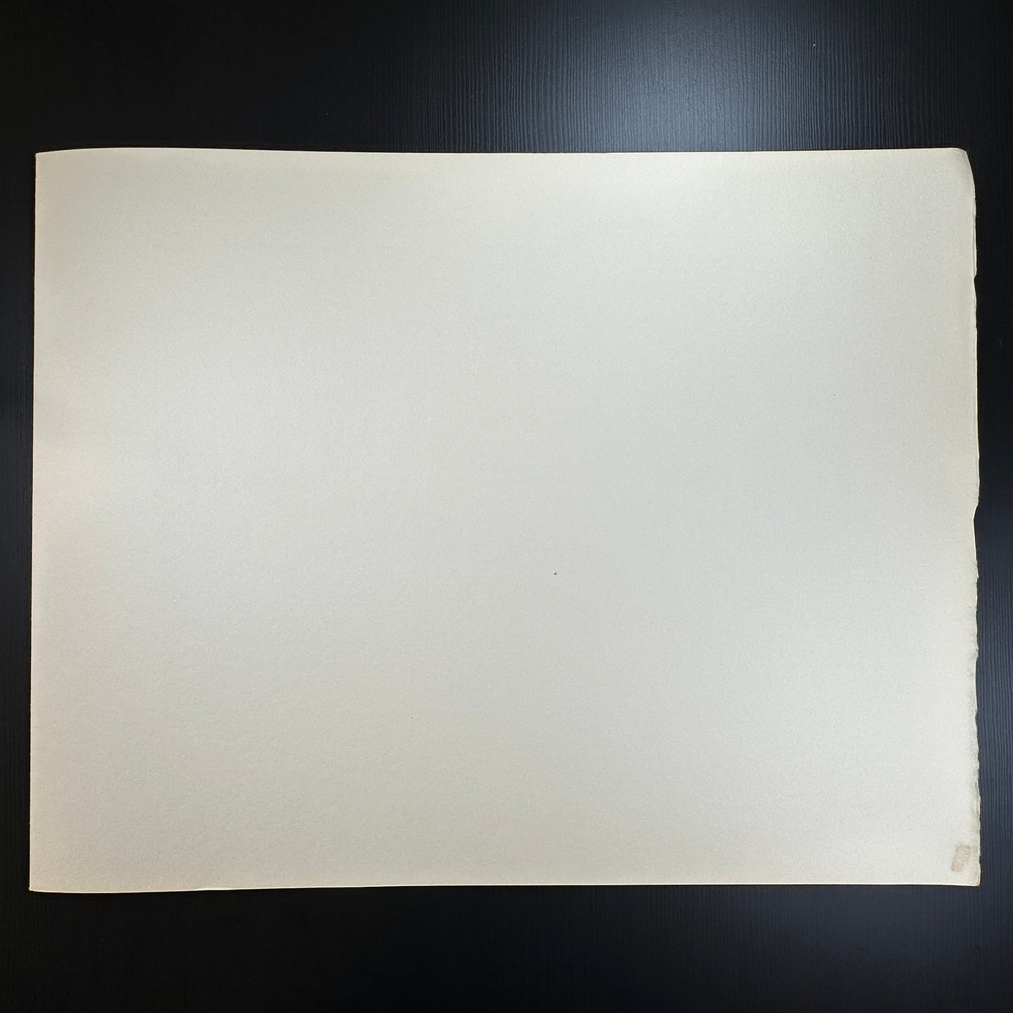 Yusui Toku Unai Series Tonbo 1978 Showa Era Kaga Yuzen Japanese art print of children and dragonflies on washi paper limited edition