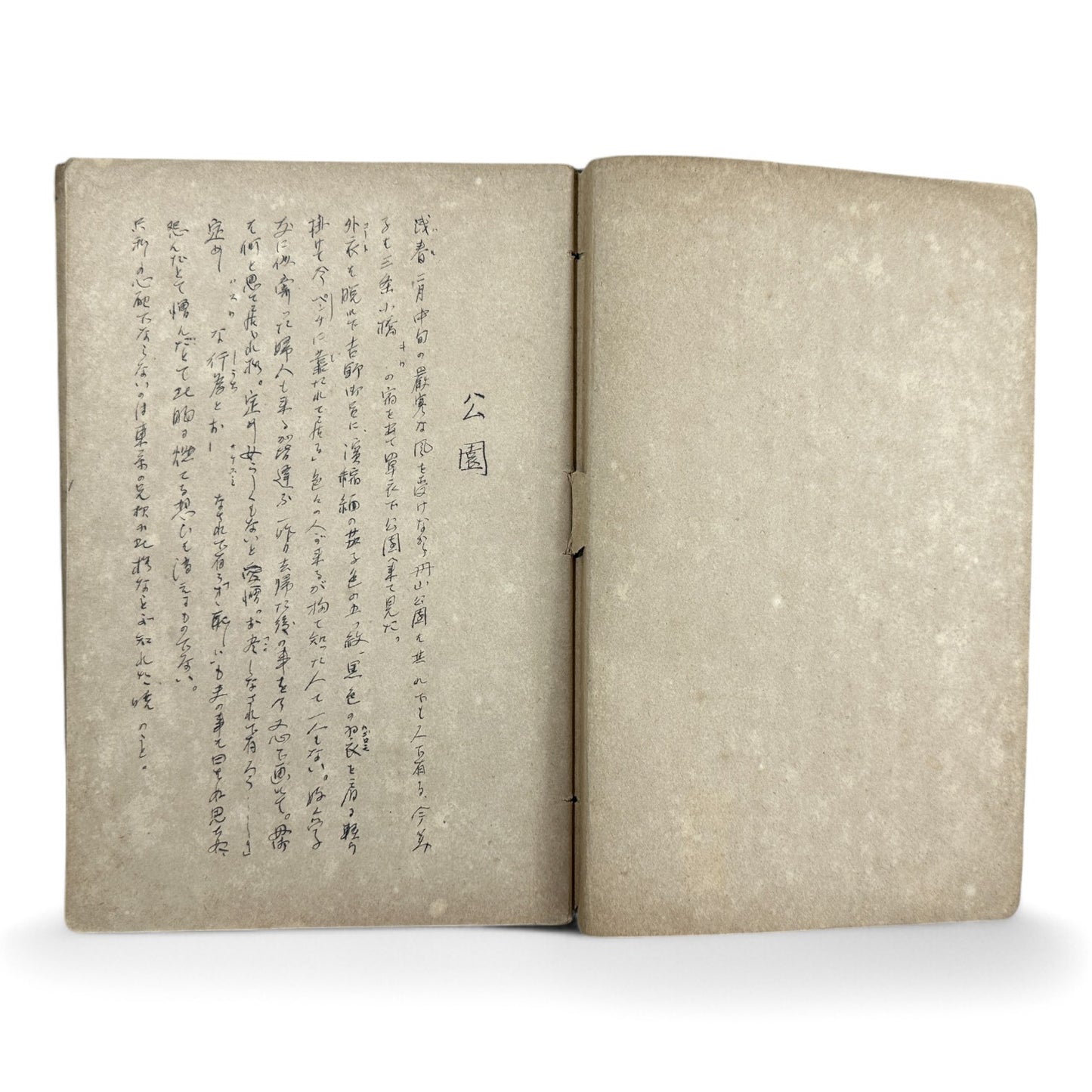 Susuko すゝ子 – Private Diary of a Japanese Woman by Matsuoka Ryōko – Early Shōwa Manuscript from Takamatsu-B36