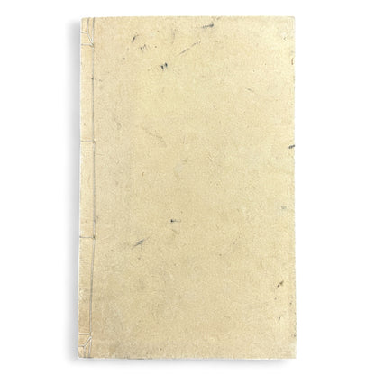 Meiji-Era Illustrated Japanese History Book (1900) - B02