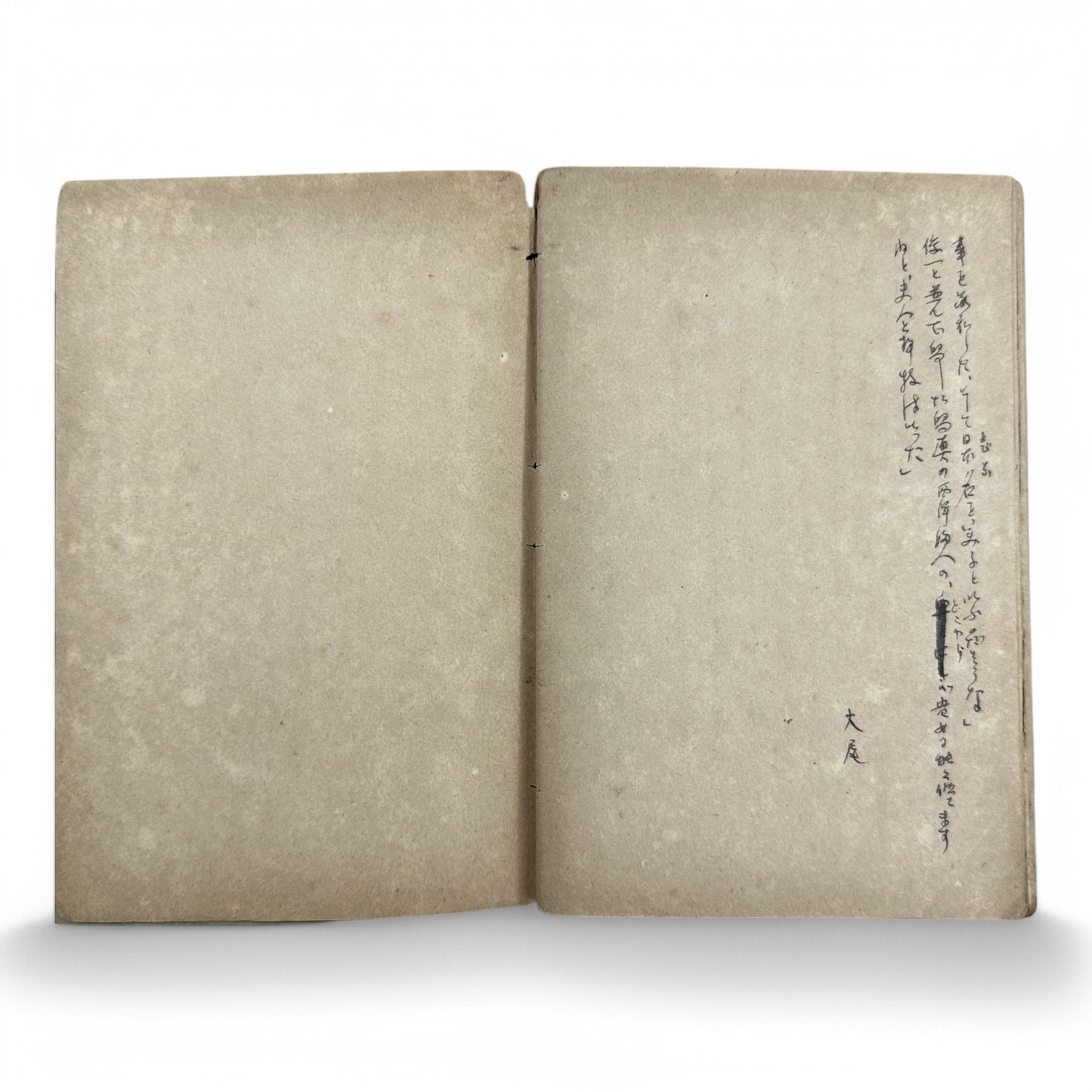 Susuko すゝ子 – Private Diary of a Japanese Woman by Matsuoka Ryōko – Early Shōwa Manuscript from Takamatsu-B36