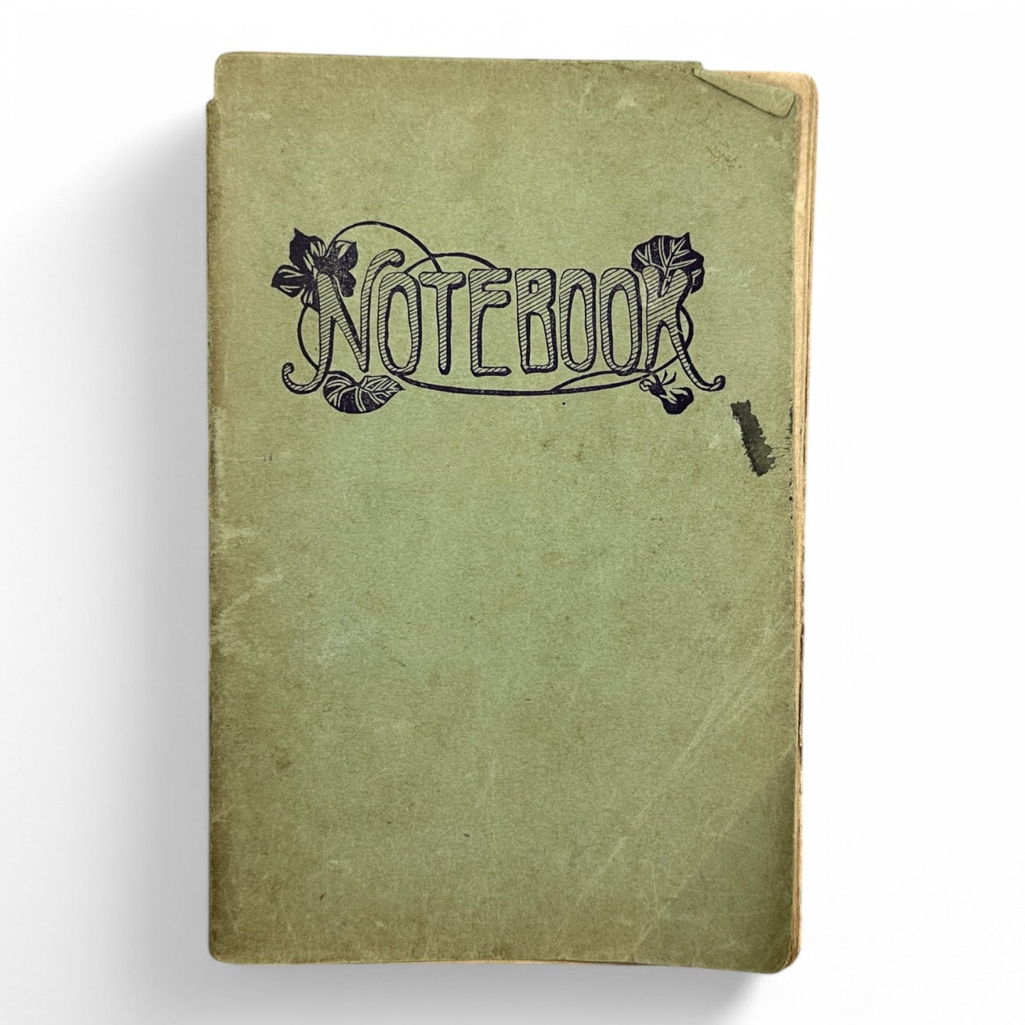 Susuko すゝ子 – Private Diary of a Japanese Woman by Matsuoka Ryōko – Early Shōwa Manuscript from Takamatsu-B36