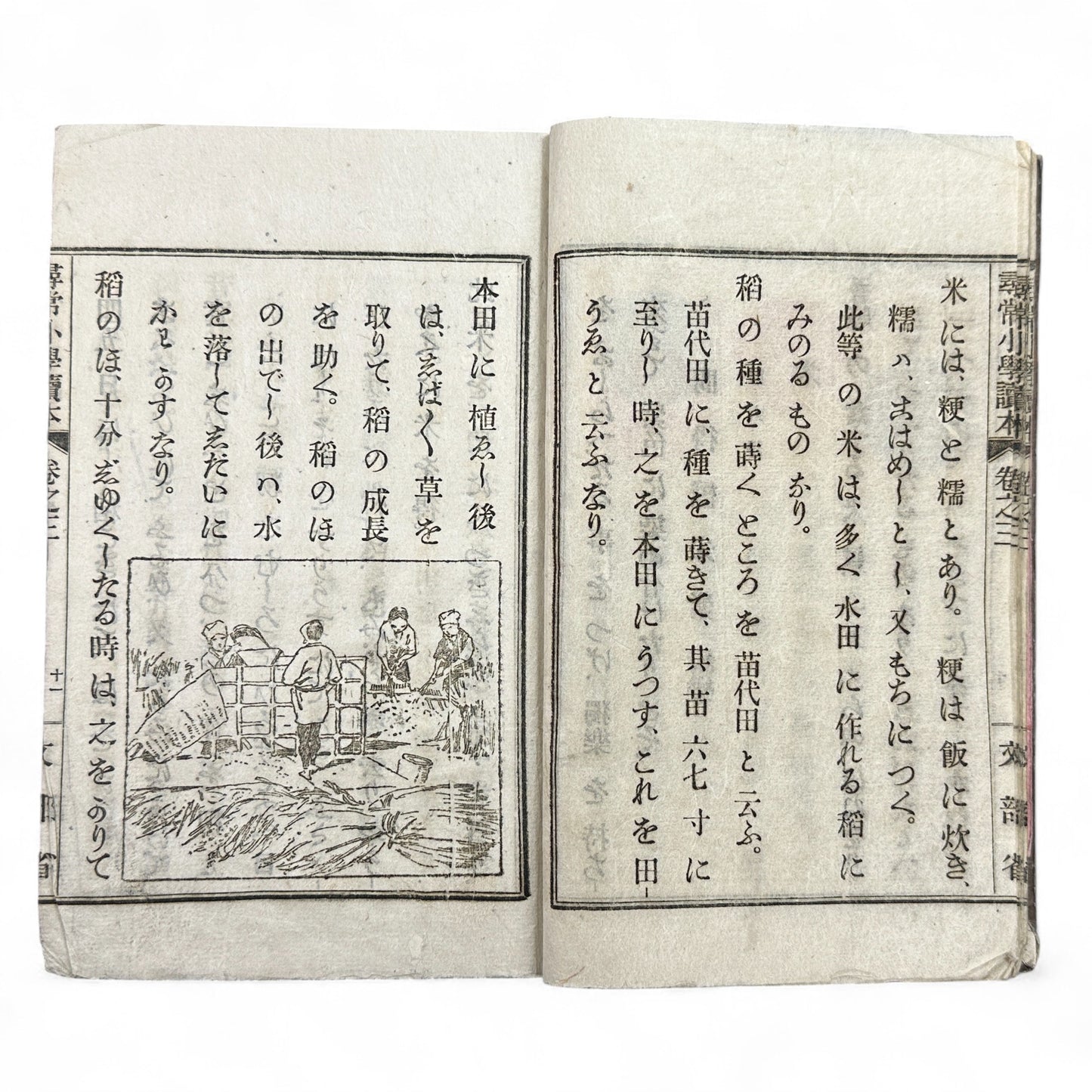 Meiji 20 Japanese textbook Jinjō Shōgaku Tokuhon Ministry of Education woodblock print illustrations 1887