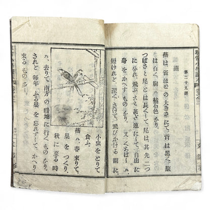 Meiji 20 (1887) Japanese School Textbook with Woodblock Illustrations - B03