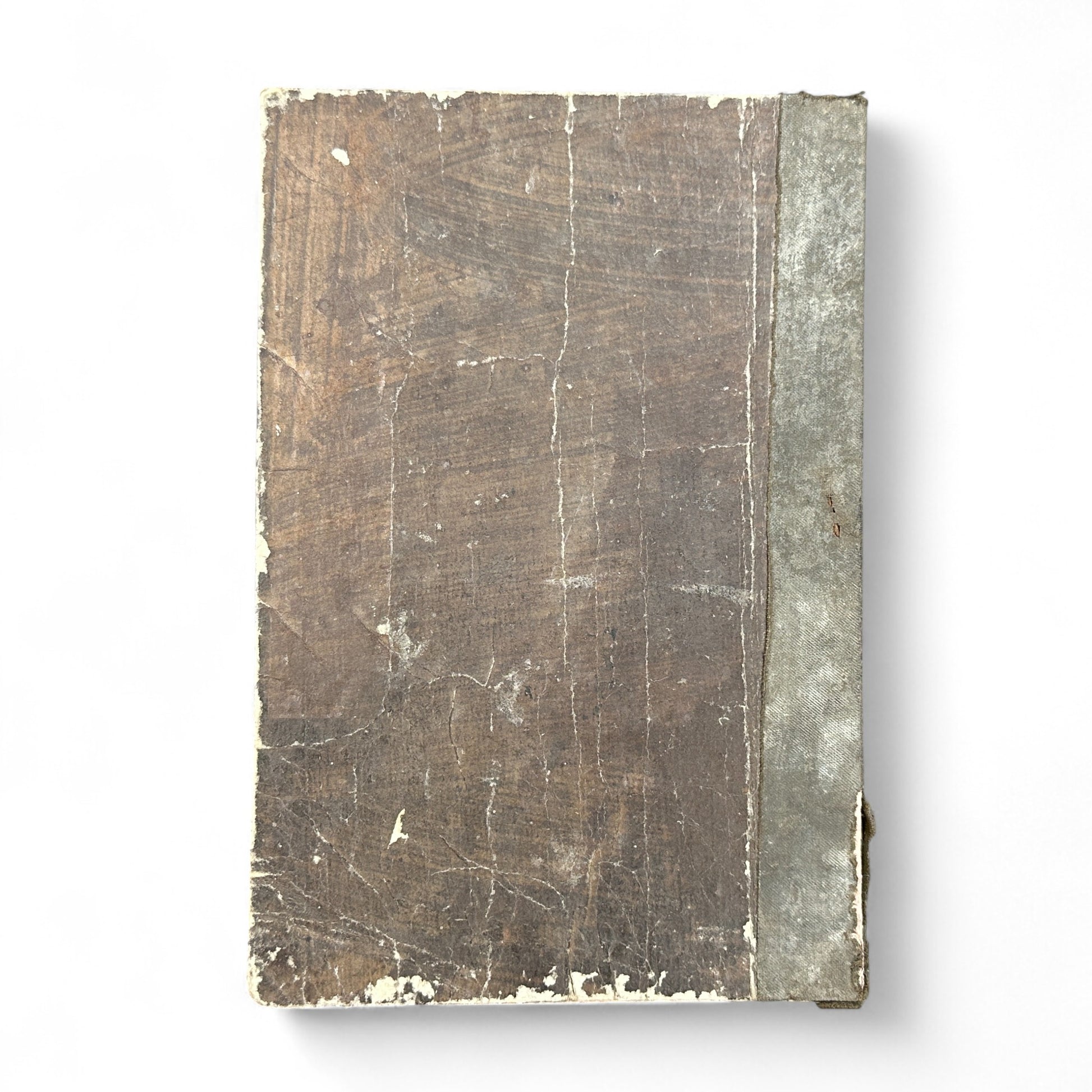 Antique Japanese schoolbook woodblock illustrations cats children and clock Meiji textbook