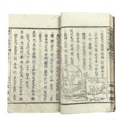 Antique Japanese schoolbook woodblock illustrations cats children and clock Meiji textbook