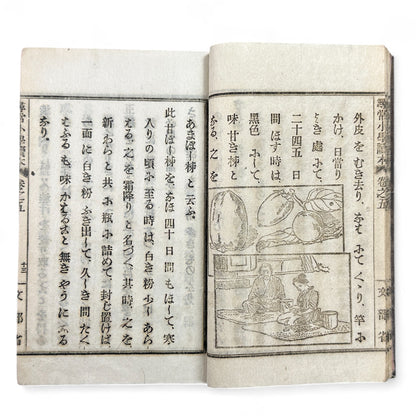 Meiji 1899 Japanese elementary school reader Jinjō Shōgaku Tokuhon Vol. 5 Ministry of Education pink cover with woodblock illustrations and washi pages.