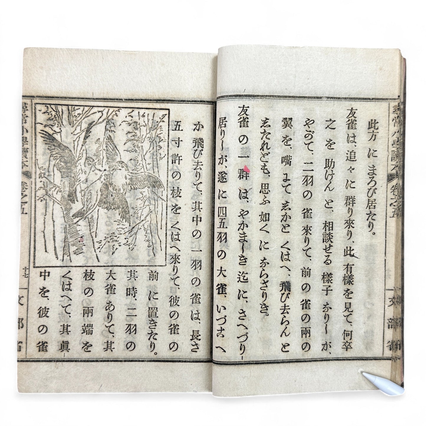 Meiji 1899 Japanese elementary school reader Jinjō Shōgaku Tokuhon Vol. 5 Ministry of Education pink cover with woodblock illustrations and washi pages.