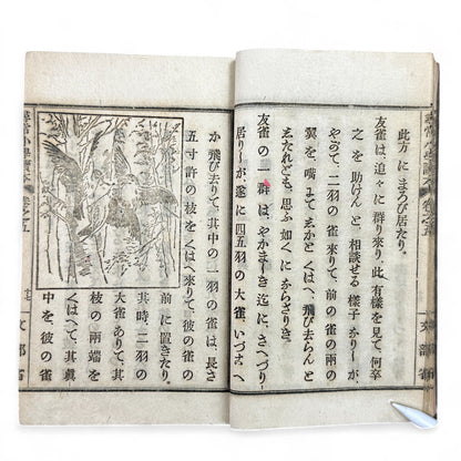 Meiji 1899 Japanese elementary school reader Jinjō Shōgaku Tokuhon Vol. 5 Ministry of Education pink cover with woodblock illustrations and washi pages.