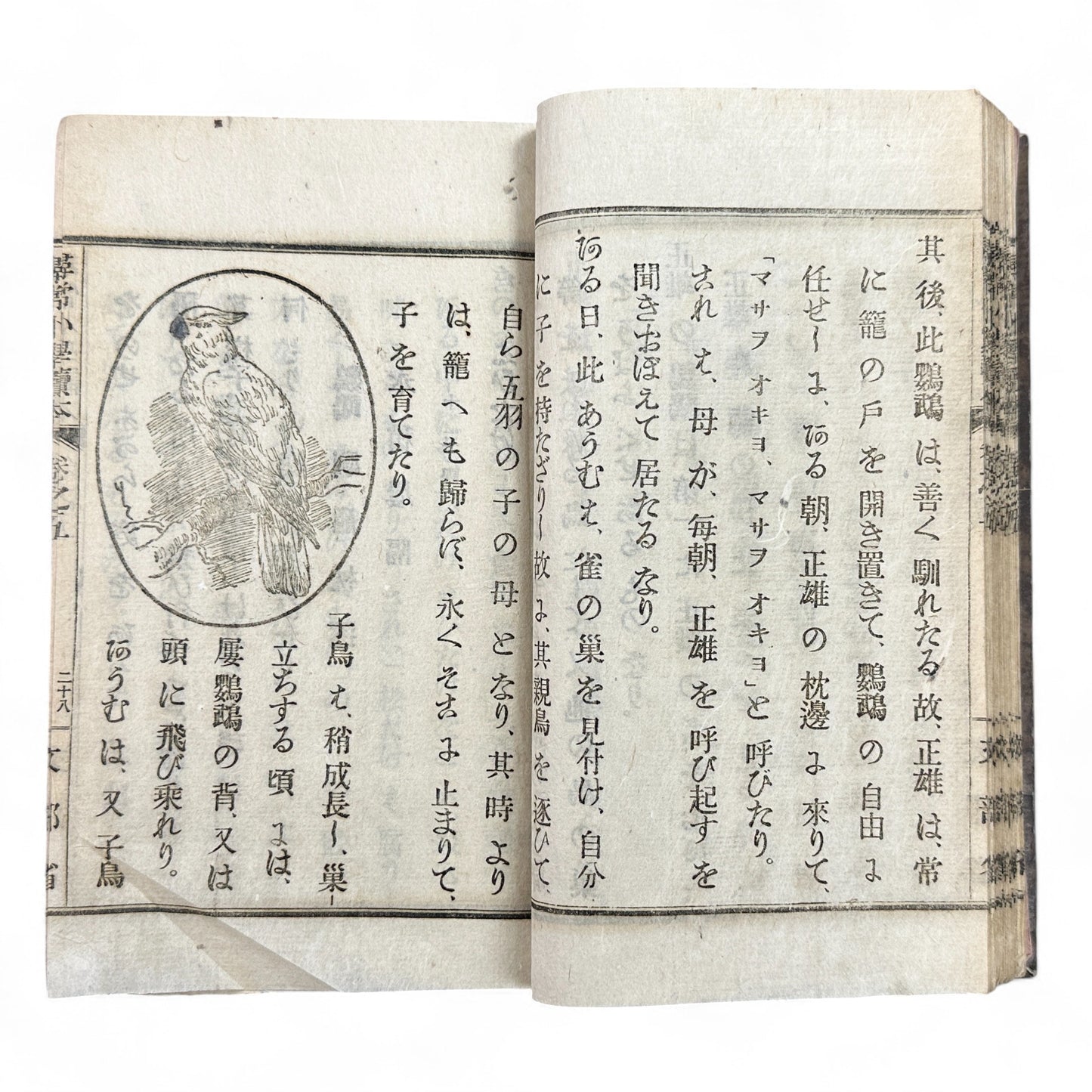 Meiji 1899 Japanese elementary school reader Jinjō Shōgaku Tokuhon Vol. 5 Ministry of Education pink cover with woodblock illustrations and washi pages.