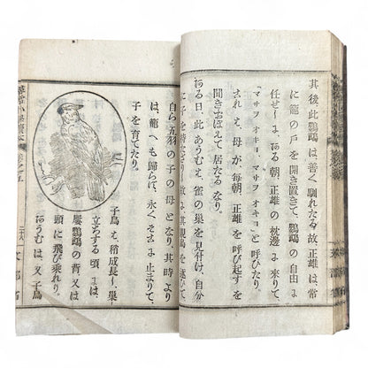 Meiji 1899 Japanese elementary school reader Jinjō Shōgaku Tokuhon Vol. 5 Ministry of Education pink cover with woodblock illustrations and washi pages.