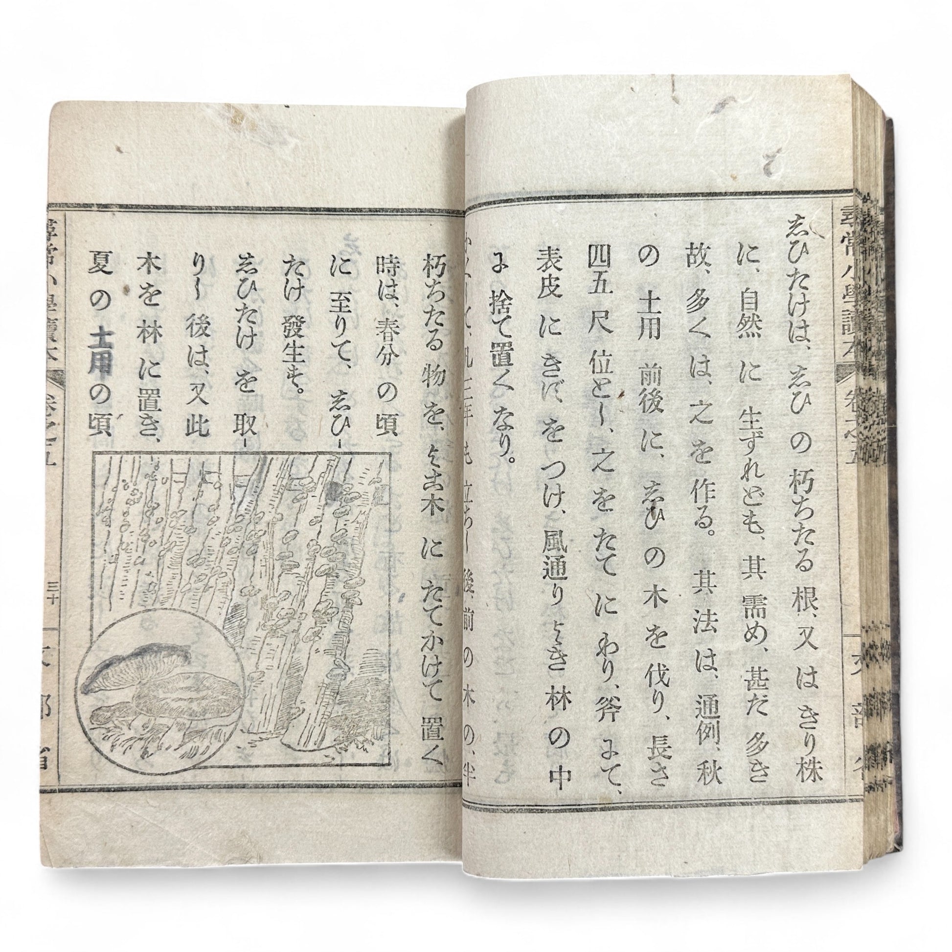 Meiji 1899 Japanese elementary school reader Jinjō Shōgaku Tokuhon Vol. 5 Ministry of Education pink cover with woodblock illustrations and washi pages.