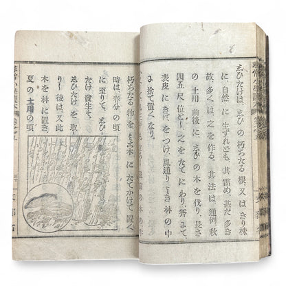 Meiji 1899 Japanese elementary school reader Jinjō Shōgaku Tokuhon Vol. 5 Ministry of Education pink cover with woodblock illustrations and washi pages.