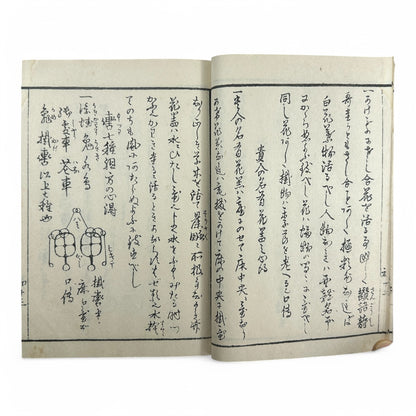 Yōshin-ryū Kadō Shoden (Ikebana Manual) – 容真御流 華道初傳 三才之巻 – Meiji-era Japanese Flower Arrangement Textbook – Imperial Court School-B32