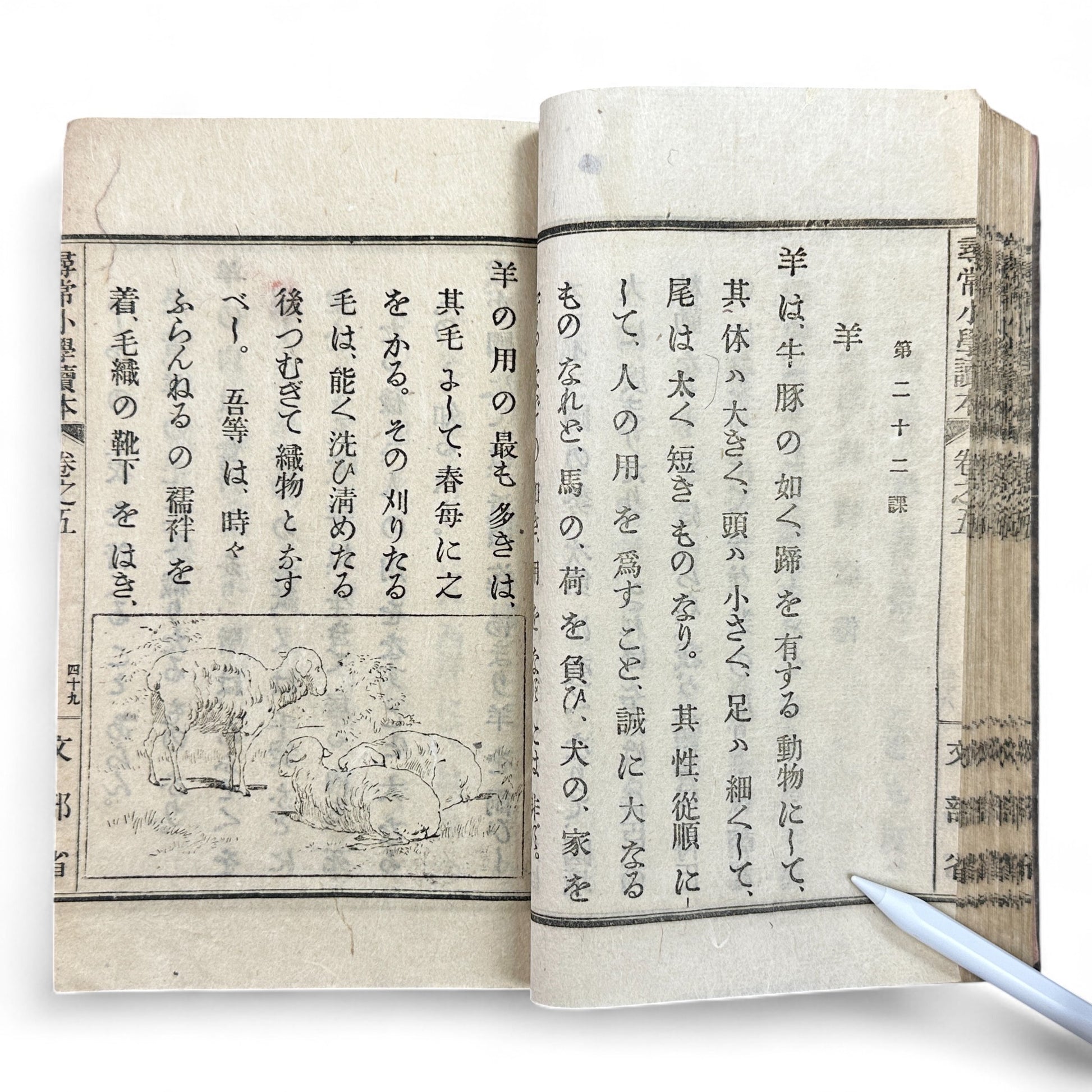 Meiji 1899 Japanese elementary school reader Jinjō Shōgaku Tokuhon Vol. 5 Ministry of Education pink cover with woodblock illustrations and washi pages.