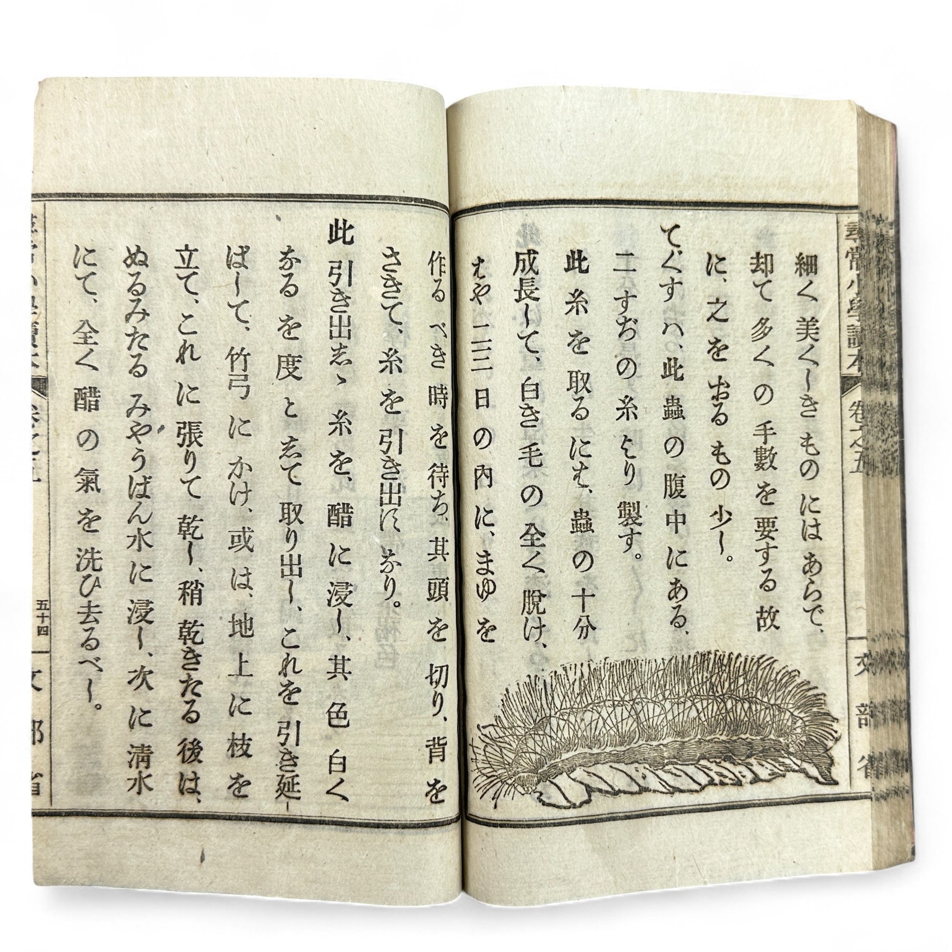 Meiji 1899 Japanese elementary school reader Jinjō Shōgaku Tokuhon Vol. 5 Ministry of Education pink cover with woodblock illustrations and washi pages.