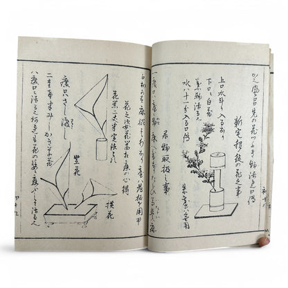 Yōshin-ryū Kadō Shoden (Ikebana Manual) – 容真御流 華道初傳 三才之巻 – Meiji-era Japanese Flower Arrangement Textbook – Imperial Court School-B32