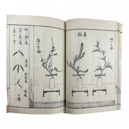 Yōshin-ryū Kadō Shoden (Ikebana Manual) – 容真御流 華道初傳 三才之巻 – Meiji-era Japanese Flower Arrangement Textbook – Imperial Court School-B32