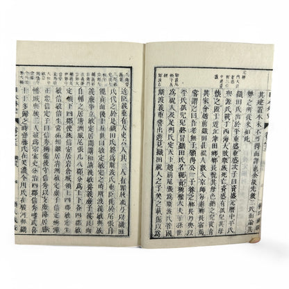 Nihon Gaishi 日本外史 – Rai San’yō – Edo to Meiji-Era Japanese History Book – Classical Kanbun Printing (巻七)-B34