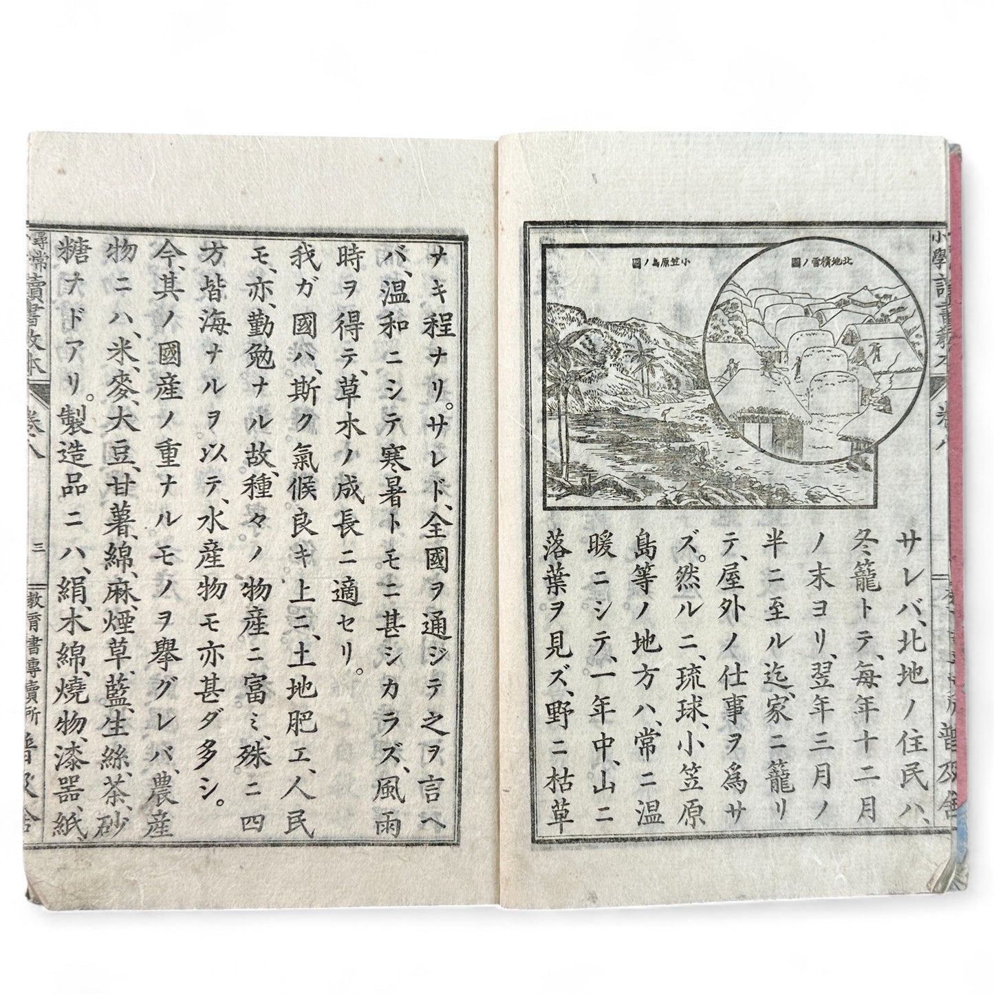 Meiji 27 Japanese reading textbook Jinjō Shōgaku Dokusho Kyōhon Volume 8, woodblock-printed pages and illustrations of coins, maps, and Meiji education scenes.