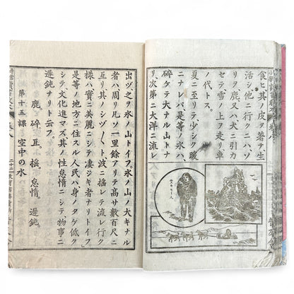 Meiji 27 Japanese reading textbook Jinjō Shōgaku Dokusho Kyōhon Volume 8, woodblock-printed pages and illustrations of coins, maps, and Meiji education scenes.