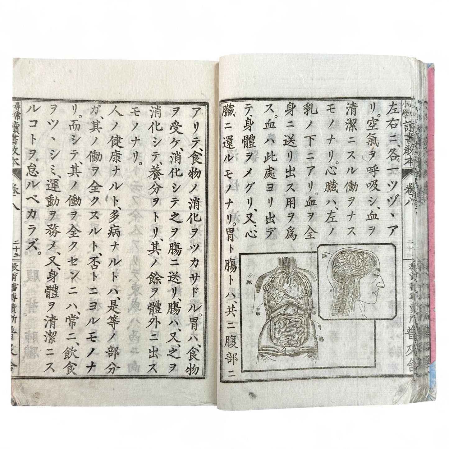 Meiji 27 Japanese Reading Textbook – Jinjō Shōgaku Dokusho Kyōhon Vol. 8 (1894) | National School Series | Illustrated Education Book - B09