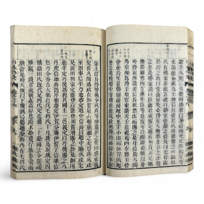 Nihon Gaishi 日本外史 – Rai San’yō – Edo to Meiji-Era Japanese History Book – Classical Kanbun Printing (巻七)-B34