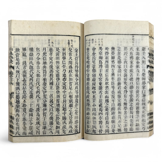 Nihon Gaishi 日本外史 – Rai San’yō – Edo to Meiji-Era Japanese History Book – Classical Kanbun Printing (巻七)-B34