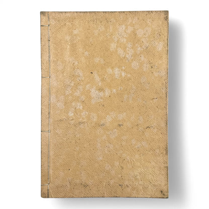 Nihon Gaishi 日本外史 – Rai San’yō – Edo to Meiji-Era Japanese History Book – Classical Kanbun Printing (巻七)-B34