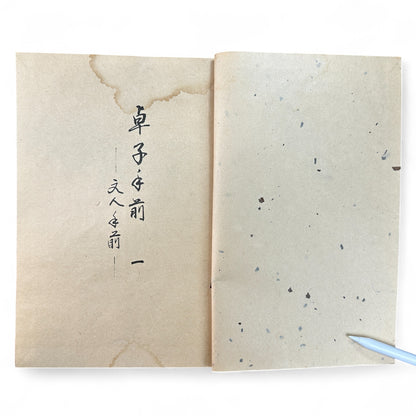 Ogawa-ryu Sencha Tea Ceremony Takujidemae Volume I, Shōwa-era Japanese tea manual with washi paper pages and fold-out diagram of table tea service.