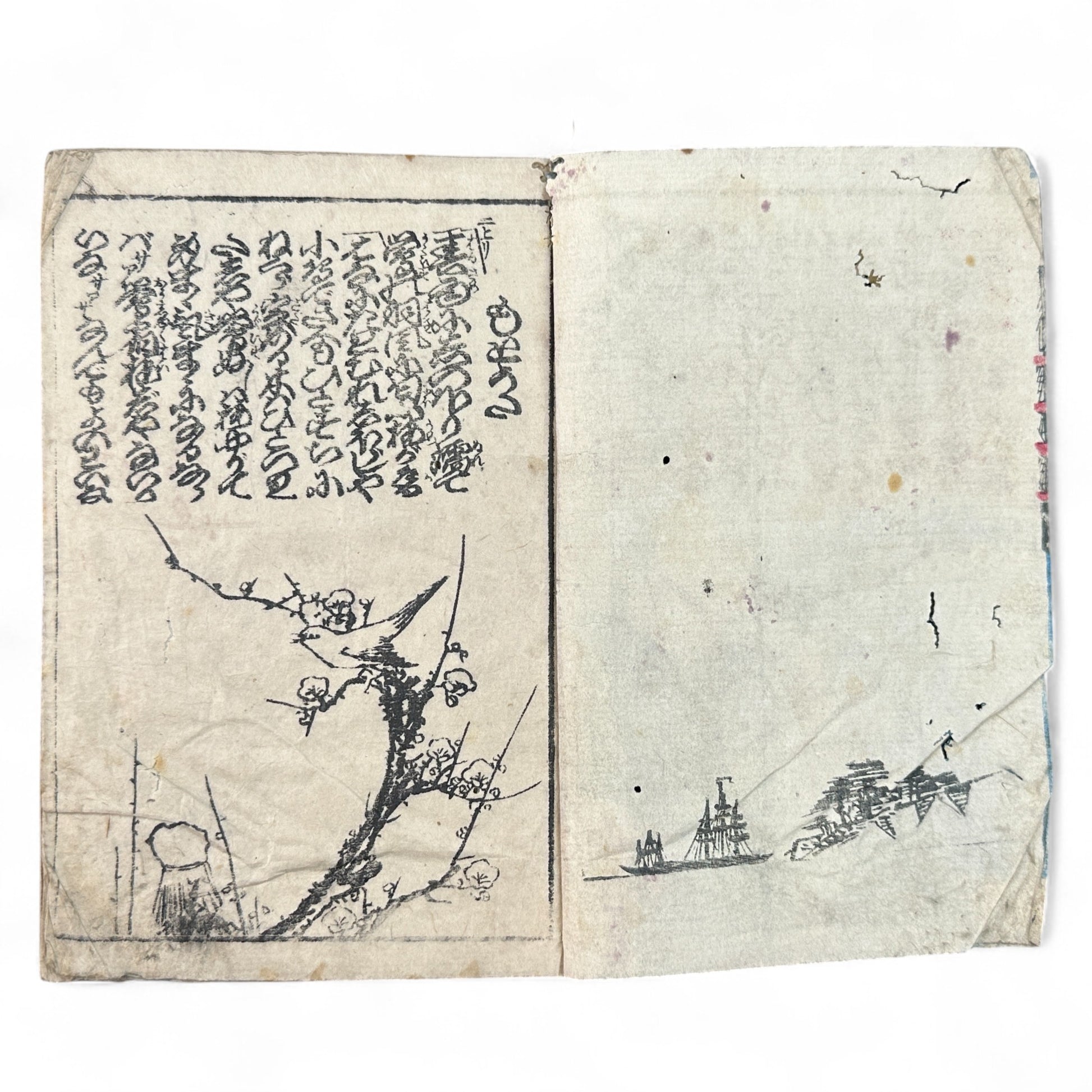 Edo-Meiji woodblock-printed Japanese book Yoshiwara Sazaregoto, featuring courtesan gazing toward Western ships, hand-colored cover, and black-and-white interior illustrations.