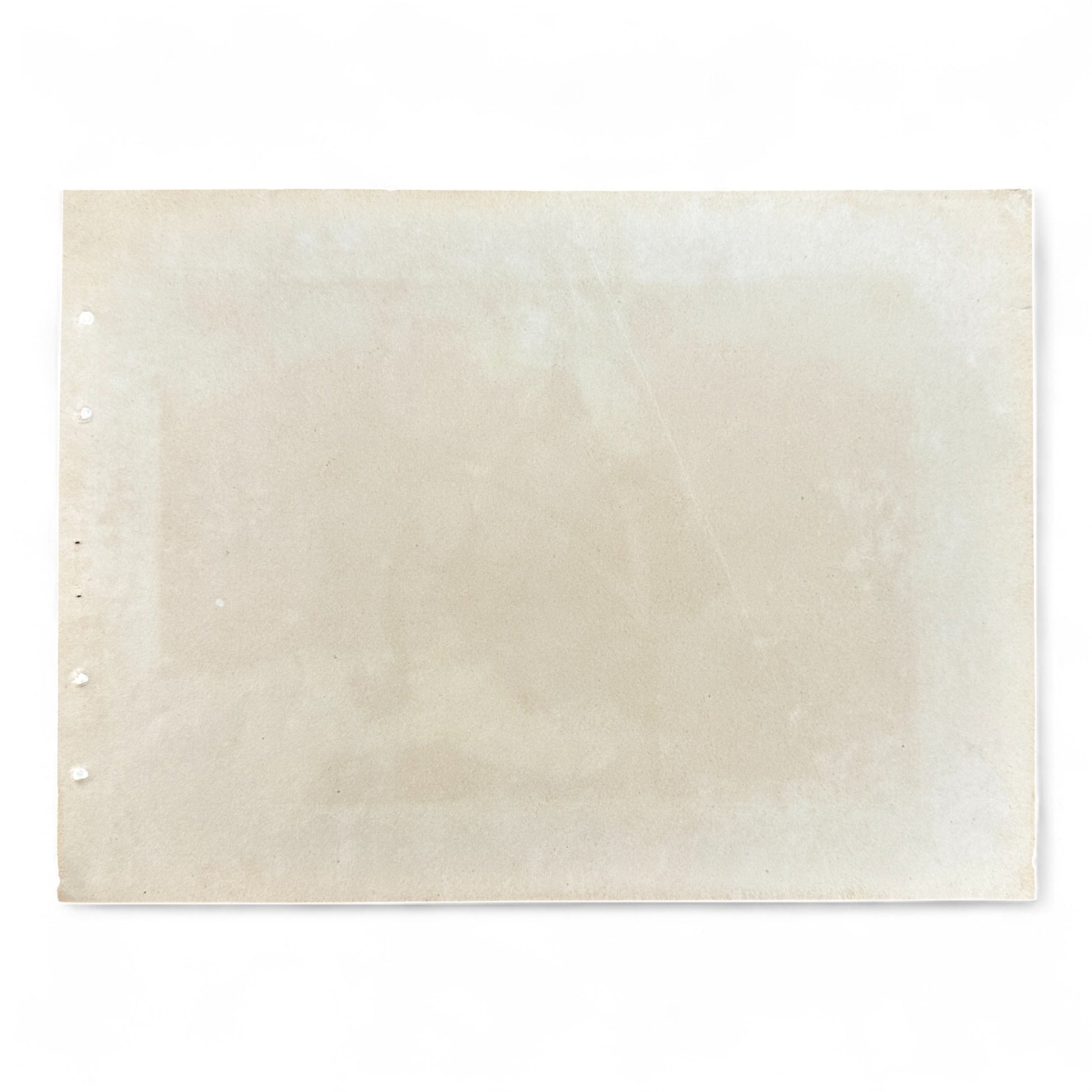 Japanese bijin-ga print of young woman with cherry blossoms – Taishō era sakura beauty – traditional Japanese art reproduction