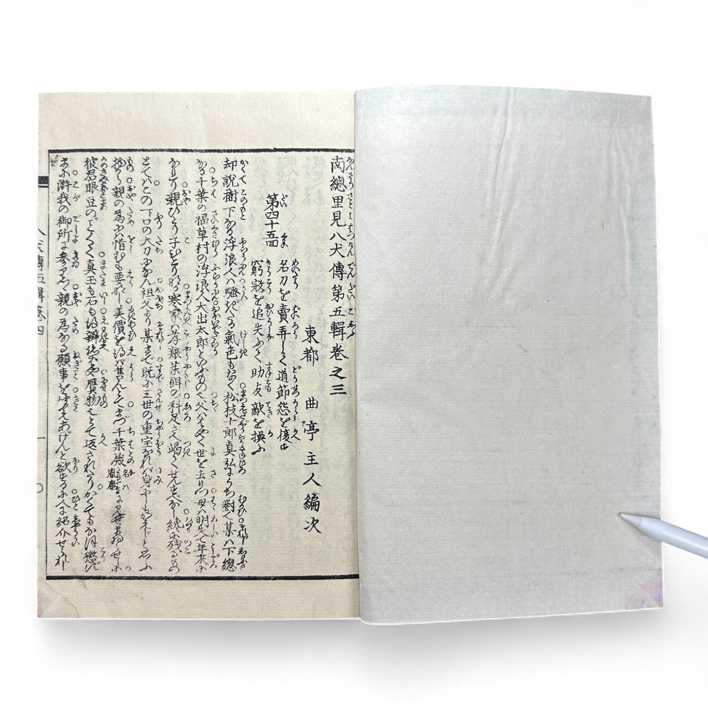 Nansō Satomi Hakkenden 南總里見八犬傳 – Meiji Woodblock-Printed Samurai Novel by Kyokutei Bakin – Volume 10-B46