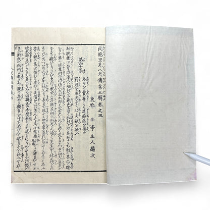 Nansō Satomi Hakkenden 南總里見八犬傳 – Meiji Woodblock-Printed Samurai Novel by Kyokutei Bakin – Volume 10-B46