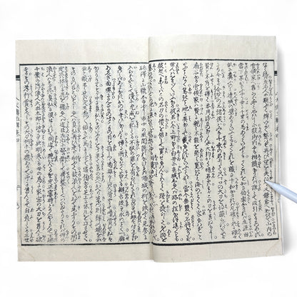 Nansō Satomi Hakkenden 南總里見八犬傳 – Meiji Woodblock-Printed Samurai Novel by Kyokutei Bakin – Volume 10-B46