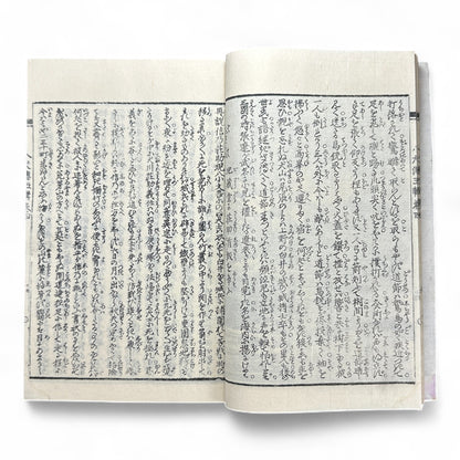 Nansō Satomi Hakkenden 南總里見八犬傳 – Meiji Woodblock-Printed Samurai Novel by Kyokutei Bakin – Volume 10-B46