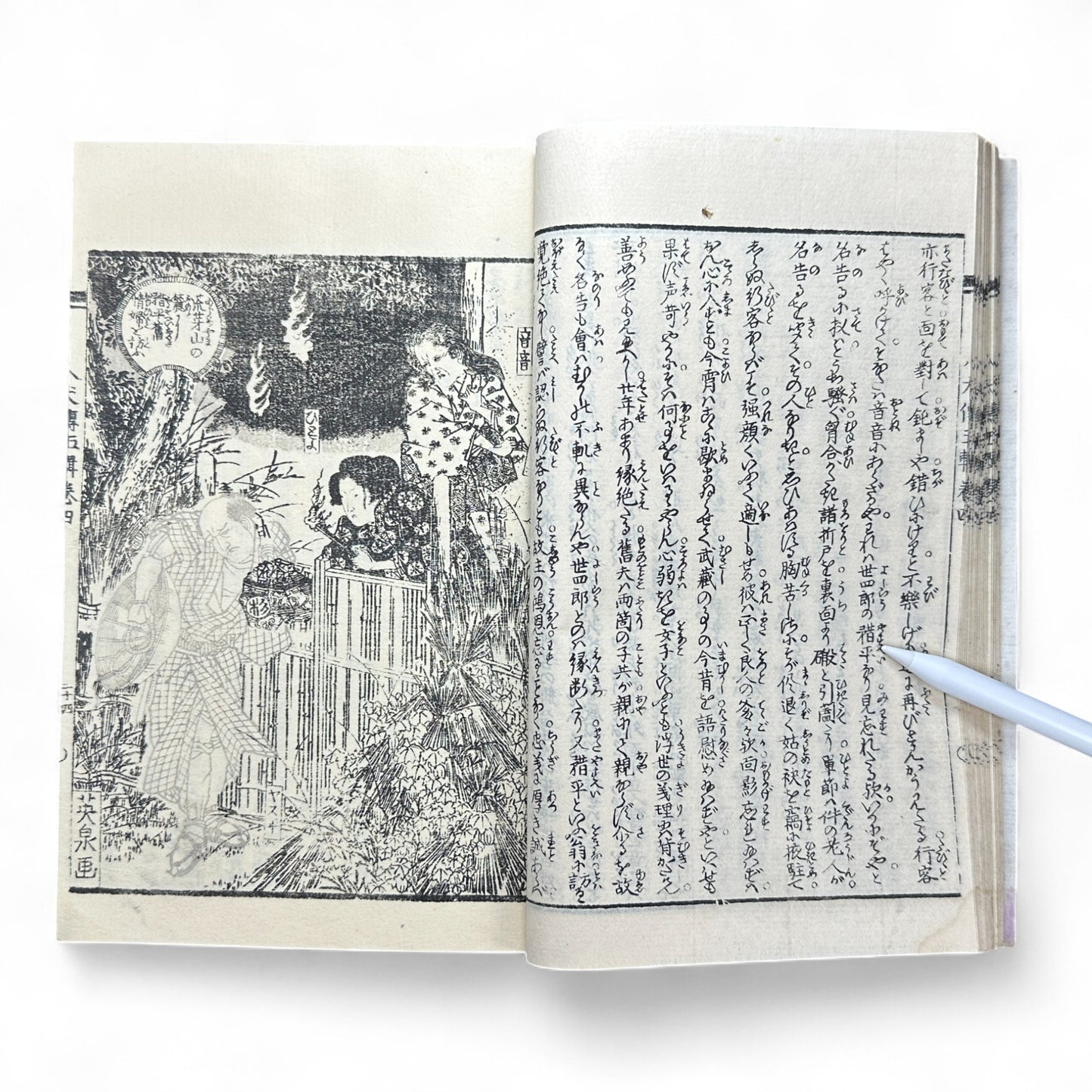 Nansō Satomi Hakkenden 南總里見八犬傳 – Meiji Woodblock-Printed Samurai Novel by Kyokutei Bakin – Volume 10-B46