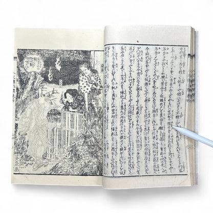 Nansō Satomi Hakkenden 南總里見八犬傳 – Meiji Woodblock-Printed Samurai Novel by Kyokutei Bakin – Volume 10-B46