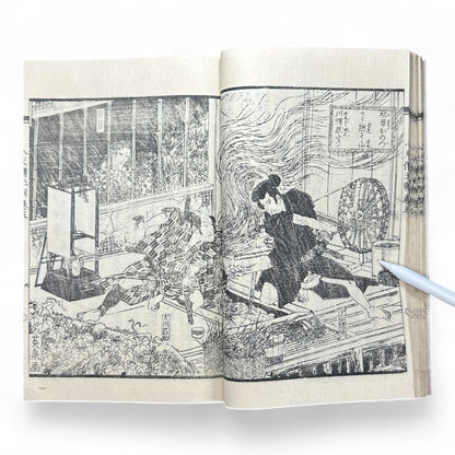 Nansō Satomi Hakkenden 南總里見八犬傳 – Meiji Woodblock-Printed Samurai Novel by Kyokutei Bakin – Volume 10-B46