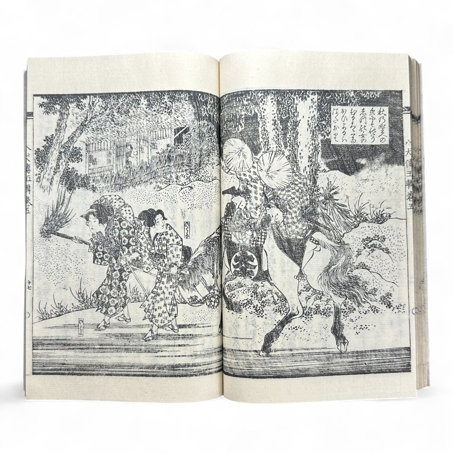 Nansō Satomi Hakkenden 南總里見八犬傳 – Meiji Woodblock-Printed Samurai Novel by Kyokutei Bakin – Volume 10-B46