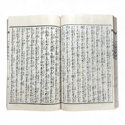 Nansō Satomi Hakkenden 南總里見八犬傳 – Meiji Woodblock-Printed Samurai Novel by Kyokutei Bakin – Volume 10-B46