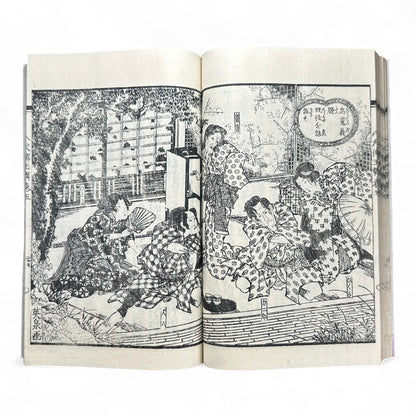 Nansō Satomi Hakkenden 南總里見八犬傳 – Meiji Woodblock-Printed Samurai Novel by Kyokutei Bakin – Volume 10-B46