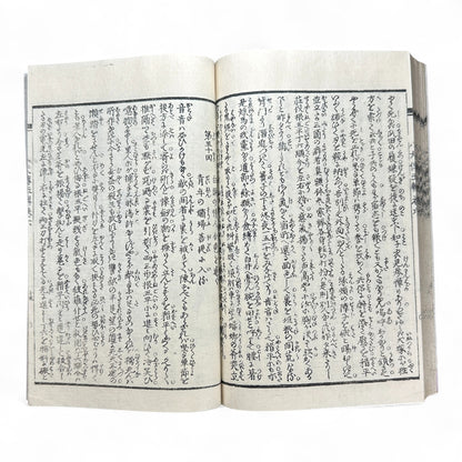 Nansō Satomi Hakkenden 南總里見八犬傳 – Meiji Woodblock-Printed Samurai Novel by Kyokutei Bakin – Volume 10-B46