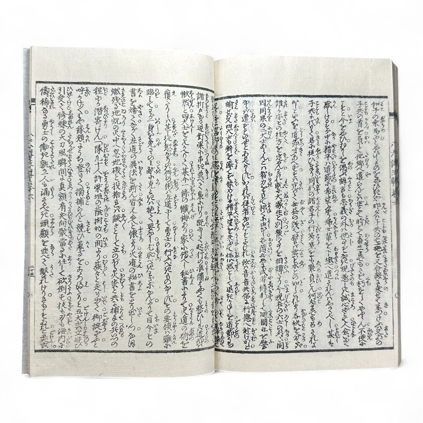 Nansō Satomi Hakkenden 南總里見八犬傳 – Meiji Woodblock-Printed Samurai Novel by Kyokutei Bakin – Volume 10-B46