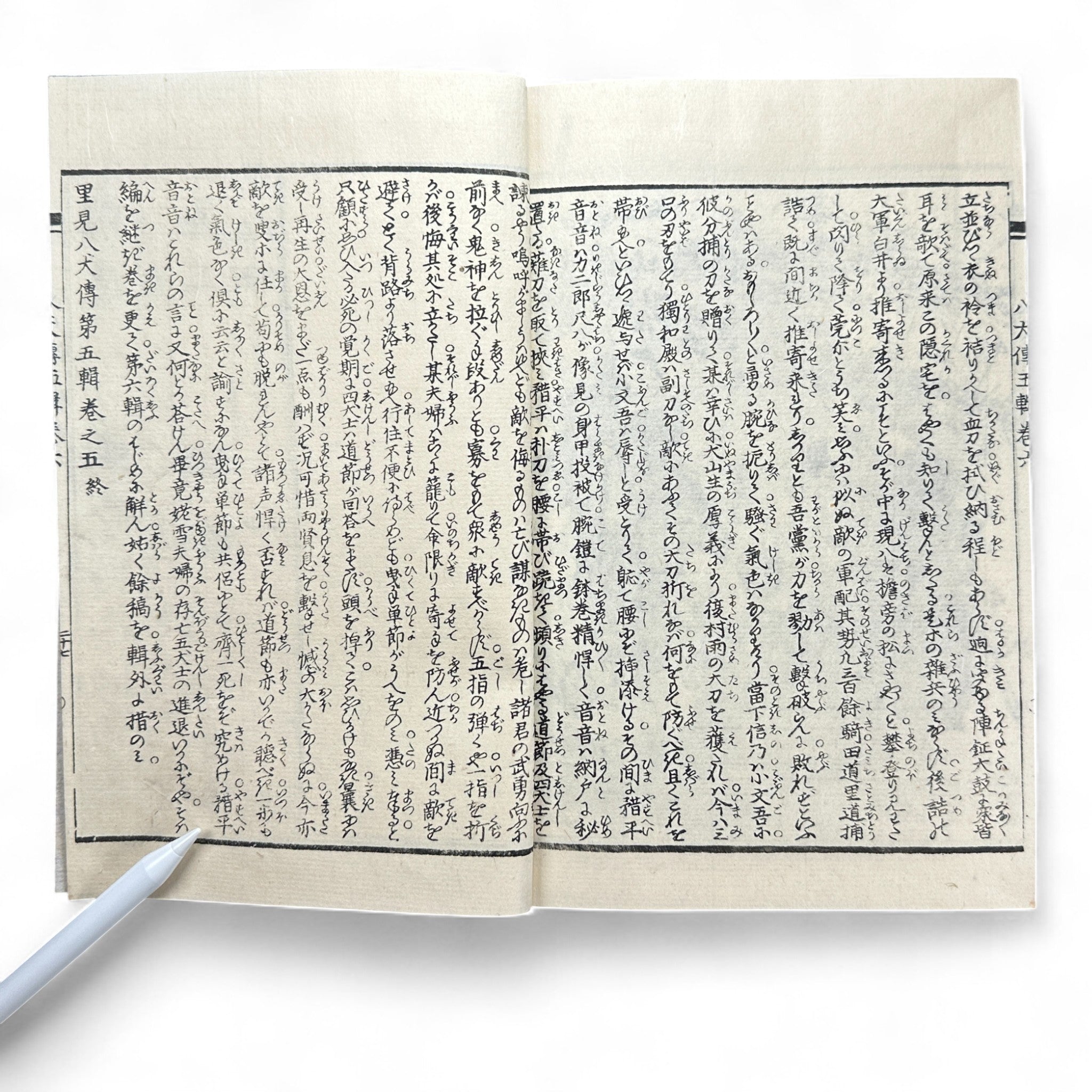 Nansō Satomi Hakkenden 南總里見八犬傳 – Meiji Woodblock-Printed