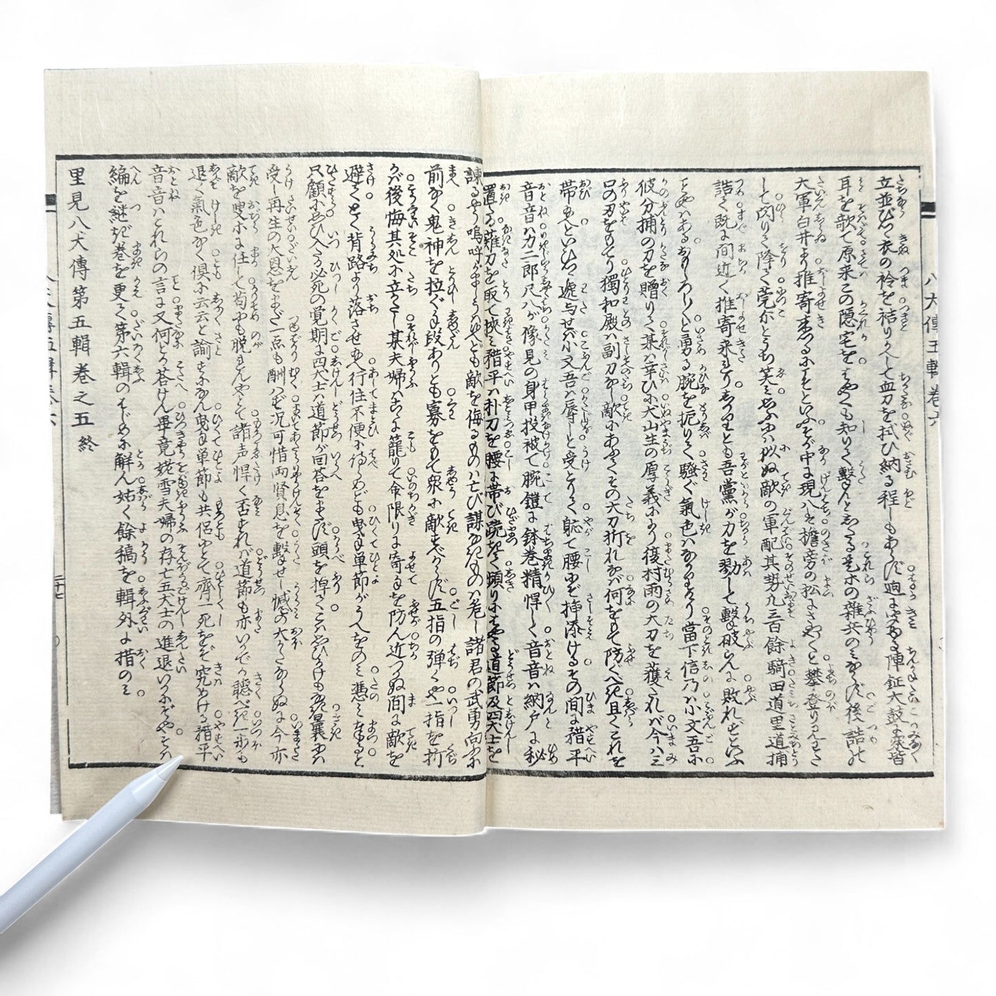 Nansō Satomi Hakkenden 南總里見八犬傳 – Meiji Woodblock-Printed Samurai Novel by Kyokutei Bakin – Volume 10-B46