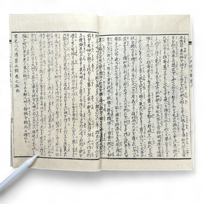 Nansō Satomi Hakkenden 南總里見八犬傳 – Meiji Woodblock-Printed Samurai Novel by Kyokutei Bakin – Volume 10-B46