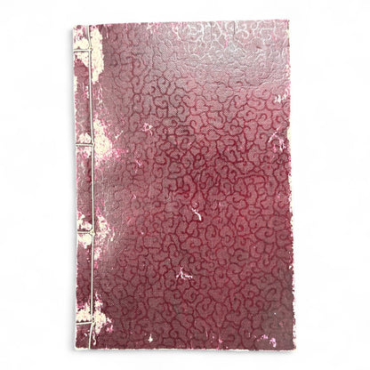 Nansō Satomi Hakkenden 南總里見八犬傳 – Meiji Woodblock-Printed Samurai Novel by Kyokutei Bakin – Volume 10-B46