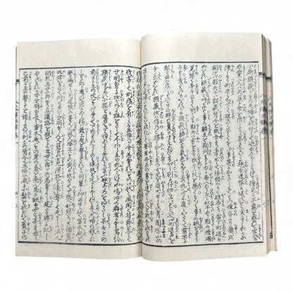 Nansō Satomi Hakkenden 南總里見八犬傳 – Meiji Woodblock-Printed Samurai Novel by Kyokutei Bakin – Volume 9-B47