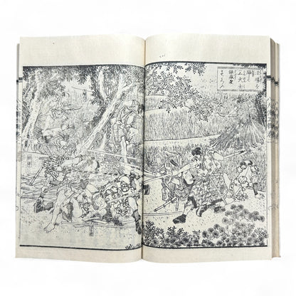 Nansō Satomi Hakkenden 南總里見八犬傳 – Meiji Woodblock-Printed Samurai Novel by Kyokutei Bakin – Volume 9-B47